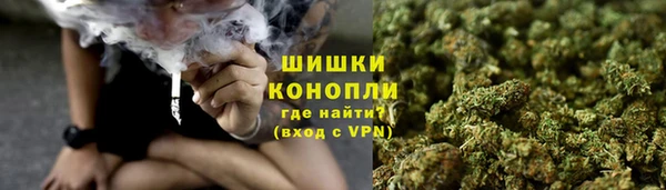 ПСИЛОЦИБИНОВЫЕ ГРИБЫ Арсеньев