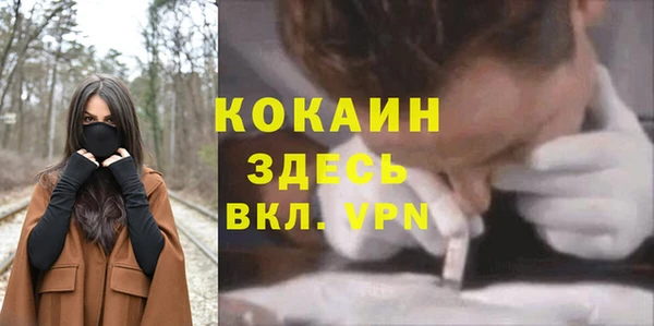 ПСИЛОЦИБИНОВЫЕ ГРИБЫ Арсеньев