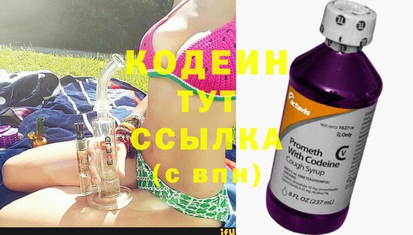 ПСИЛОЦИБИНОВЫЕ ГРИБЫ Арсеньев