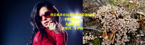 СК Аркадак