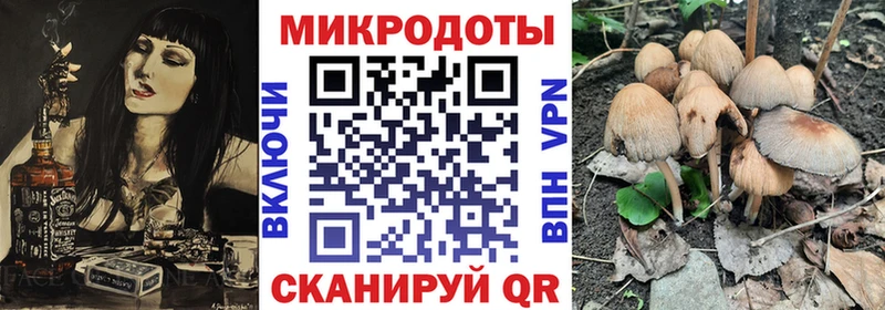 Псилоцибиновые грибы Cubensis Армянск
